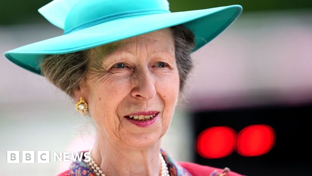 Princess Anne in hospital with minor head injury after suspected horse incident