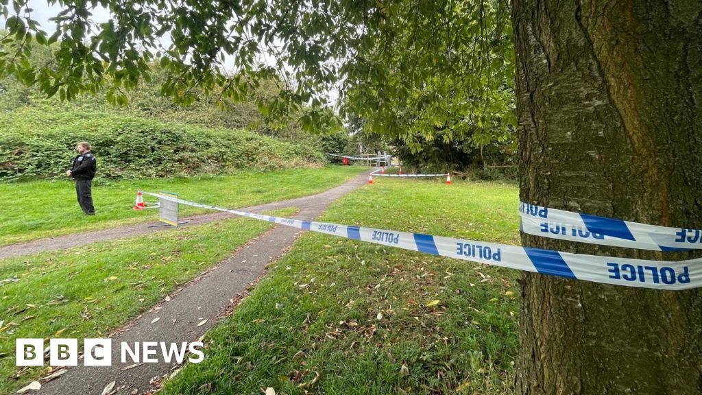 Children held over fatal park attack on dog walker, 80